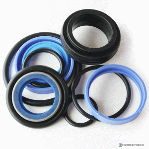 CS04-127 Seal Kit (Cylinder)